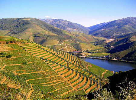 葡萄牙杜羅河（Douro，Portugal）