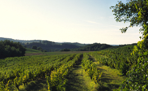 加亞克產(chǎn)區(qū)（Gaillac）