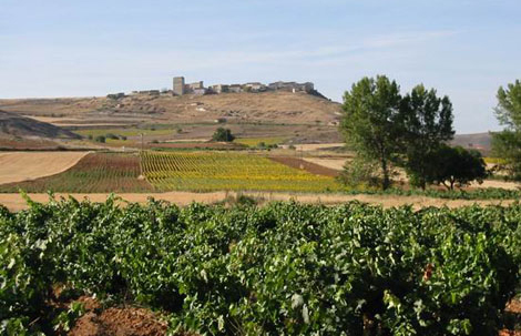 杜埃羅河岸（Ribera del Duero）