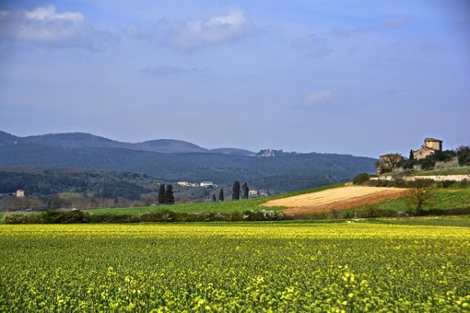 托斯卡納Tuscany