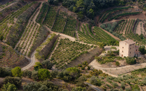 普里奧拉托（Priorat）