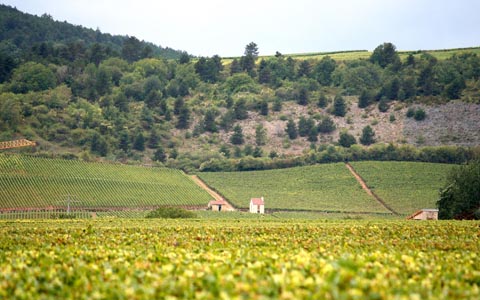 1、法國(guó)，勃艮第