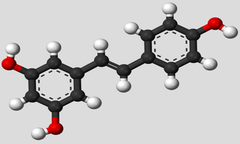 紅酒對肥胖男的血糖和心臟無益處