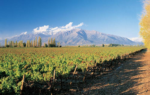 邁坡谷（Maipo Valley）