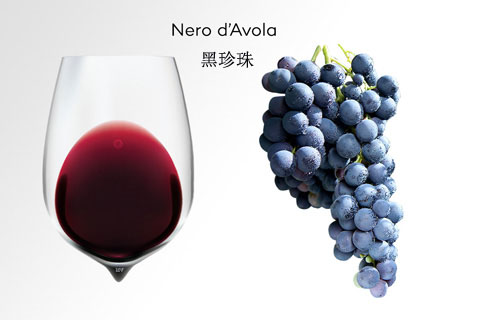 Nero d’Avola葡萄酒品鑒指南