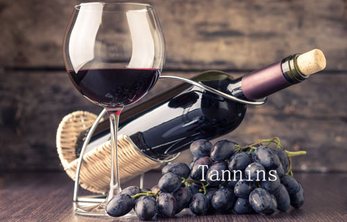 葡萄酒中的單寧（tannins）