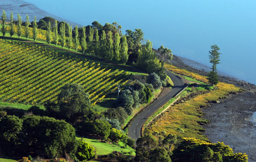 塔斯馬尼亞（Tasmania）