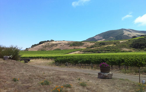 圣麗塔山產(chǎn)區(qū)（Santa Rita Hills）