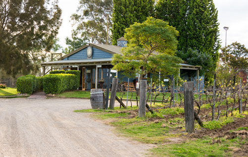 藍莓山酒莊（Blueberry Hill Vineyard）