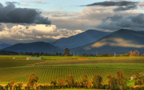 雅拉谷產(chǎn)區(qū)（Yarra Valley）