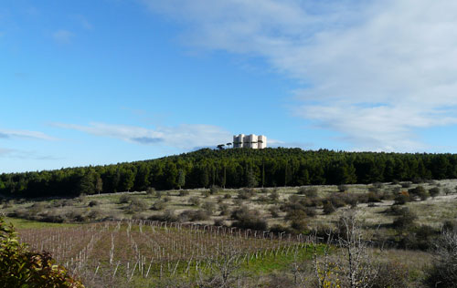 蒙特堡黑博比諾產(chǎn)區(qū)（Castel del Monte Bombino Nero DOCG）