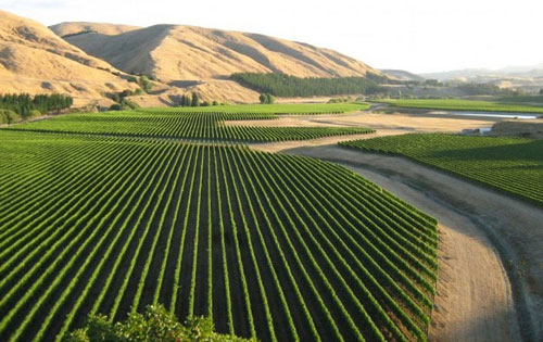 馬丁堡產區(qū)（Martinborough）