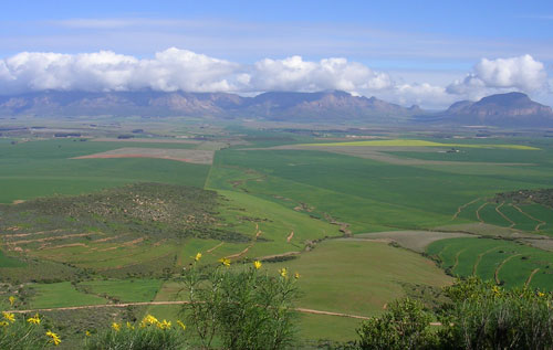 北開普省產(chǎn)區(qū)（Northern Cape）