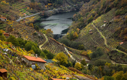 薩克拉河岸產(chǎn)區(qū)（Ribeira Sacra）