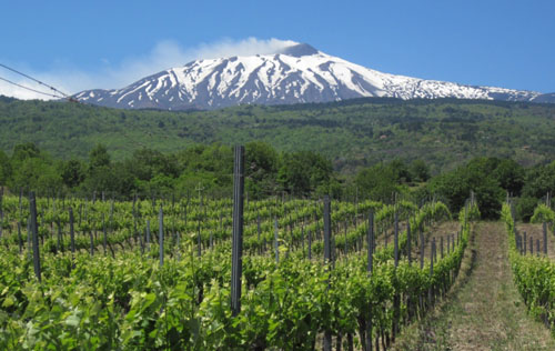 埃特納產(chǎn)區(qū)（Etna DOC）