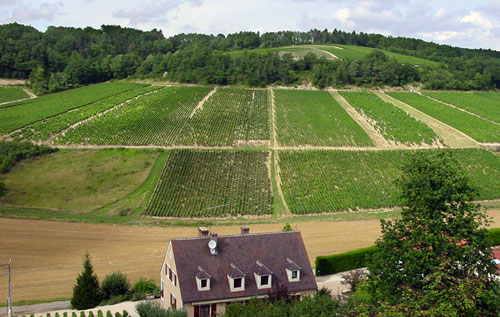 夏布利產(chǎn)區(qū)（Chablis）