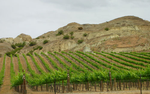 中部奧塔哥（Central Otago）葡萄酒產(chǎn)區(qū)