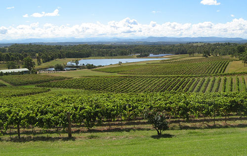 獵人谷（Hunter Valley）