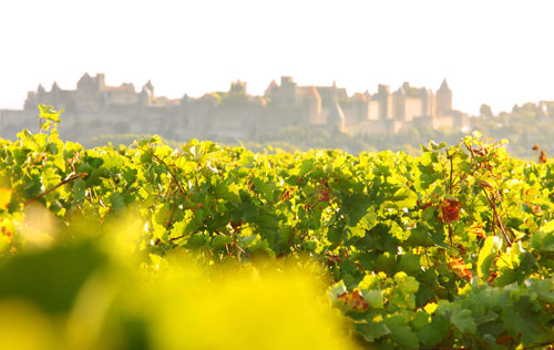 朗格多克-魯西榮（Languedoc-Roussillon）