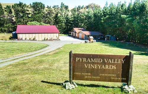 金字塔谷酒莊（Pyramid Valley Vineyards）