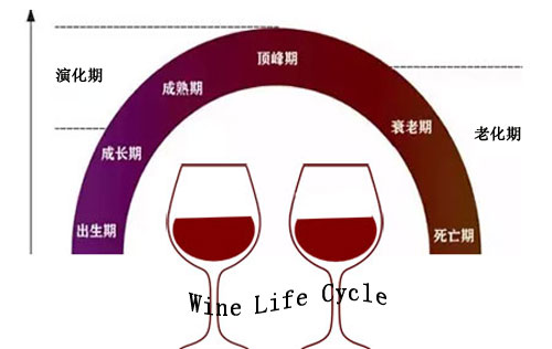 葡萄酒的演化、氧化與老化