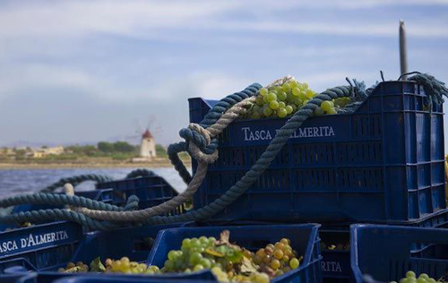 塔斯卡酒莊（Tasca d'Almerita）