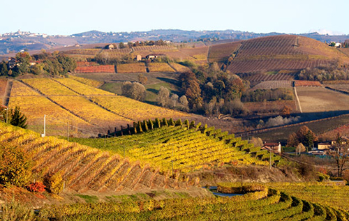 皮埃蒙特大區(qū)（Piemonte）